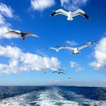 Profile Picture of Jacob Scott (@jacob7694) on Instagram