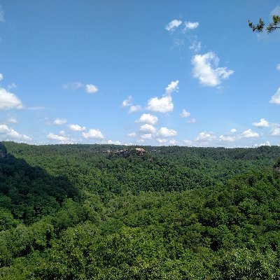 Profile Picture of Patrick D Doten (@PatrickDoten) on Twitter