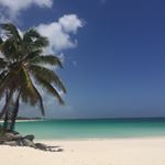 Profile Picture of Mia Catherine Knox (@miacnknox) on Instagram