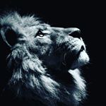 Profile Picture of Jeff Rubensky Jean Louis (@jeffrubensky) on Instagram