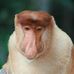 Profile Picture of Gus Thomas (@Gus-Thomas) on Facebook