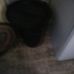 Profile Picture of Albert Kellam (@albert.kellam.56) on Facebook