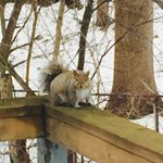 Profile Picture of Bill Fossil (@bill.fossil) on Instagram