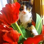 Profile Picture of Bitsy and Itsy 💕 (@bitsy_and_itsy) on Instagram