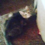 Profile Picture of Emmanuel Aceves (@emmanuel31.aceves) on Instagram