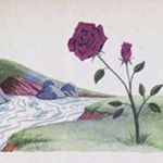 Profile Picture of Hilda Badillo Hernandez (@hildabadillohernandez) on Instagram