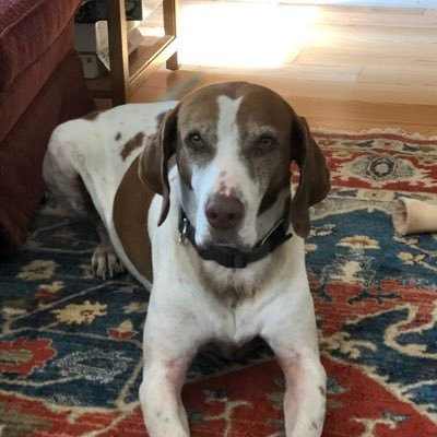 Profile Picture of Kevin Tierney (@KevinFTierney) on Twitter