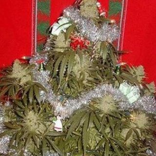 Profile Picture of Graham Sinclair (Sinky) (@Sinky6980) on Facebook