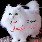 Profile Picture of Mona Shahin (@monashahin4231) on Youtube