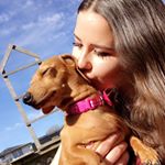 Profile Picture of Haley Hardy (@haleyhmhardy) on Instagram