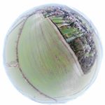 Profile Picture of Fay Wheeler (@planetimaging) on Instagram