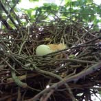 Profile Picture of Andreas Kirsch (@Andreas-Kirsch) on Facebook