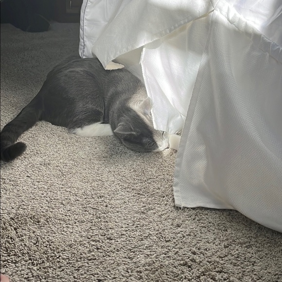 Profile Picture of Andrea Wright (@andreawright832) on Poshmark