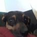 Profile Picture of Isaac Gustafson (@isaac.gustafson.79) on Facebook