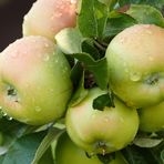 Sarita San - Facebook Profile Picture of Sarita San (@Sarita-San) on Facebook