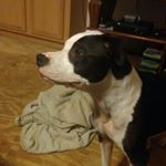 Profile Picture of Andrew (@spognebobber621) on Instagram