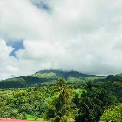 Profile Picture of Mark Tisdale (@markytis) on Twitter