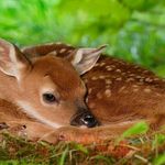 Profile Picture of alana herdman (@timberjmherrdman) on Instagram