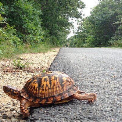 Profile Picture of Steven H. Foskett Jr (@SteveFoskettTG) on Twitter