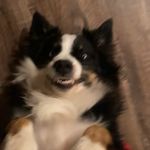 Profile Picture of Matt Green (@matthew._.green) on Instagram
