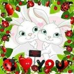 Nancy Corchado - Instagram Profile Picture of Nancy Corchado (@ncorchado) on Instagram