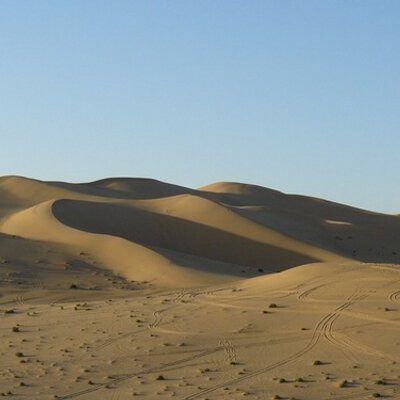 Profile Picture of Maxine Davies (@MaxineDavies) on Twitter