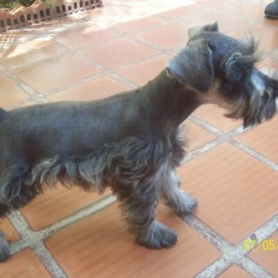 Profile Picture of Gabriela Rincón (@gabrielaerm) on Twitter