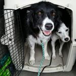 Profile Picture of Donna DeVito (@donna.spaulding.baxter.devito) on Instagram