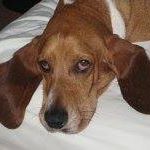 Profile Picture of Leonard Schumaker (@leonard.schumaker) on Facebook