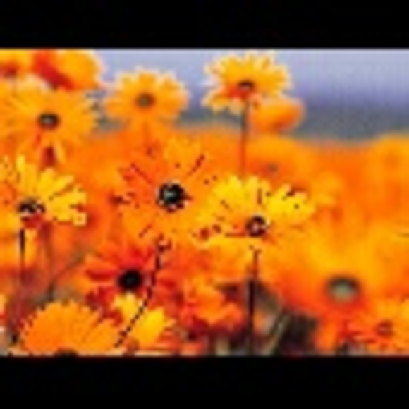 Profile Picture of Laverne Gadsden (@gadsdenl) on Poshmark