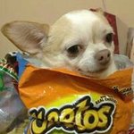 Profile Picture of Raul Partida (@raul.partida.58) on Instagram