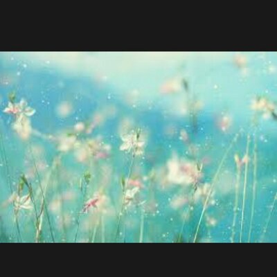 Profile Picture of Katelyn Page (@katelynpage22) on Twitter