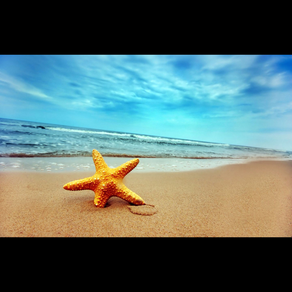 Profile Picture of Andrea Melhorn (@andrearealtor) on Poshmark