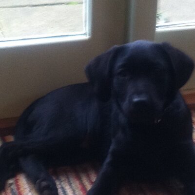 Profile Picture of Joan Duncan (@JoanJoanduncan) on Twitter