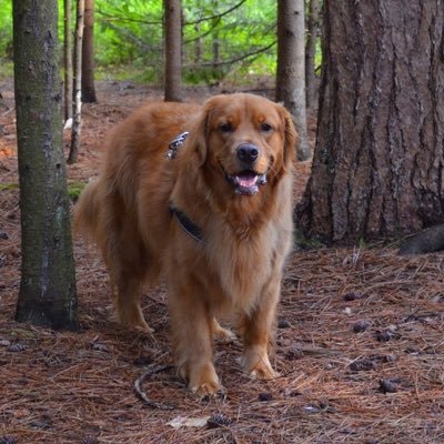 Lynn Bevan - Twitter Profile Picture of Lynn Bevan (@Lynn_and_Brad) on Twitter