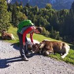 Profile Picture of Michael Heinitz (@michaelheinitz) on Instagram