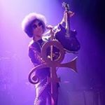 Profile Picture of Tammy Stratton (@thatratton) on Instagram