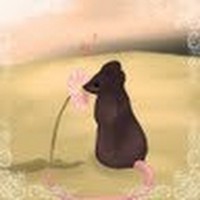 Profile Picture of Shaune Hite (@shaune-hite) on Quora