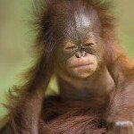 Profile Picture of Jenna Oleary (@jenscamm) on Instagram