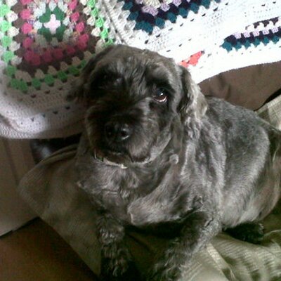 Profile Picture of Josie Holt (@JhJosie) on Twitter