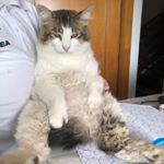 Profile Picture of Kevin Guida (@guida.kevin) on Instagram