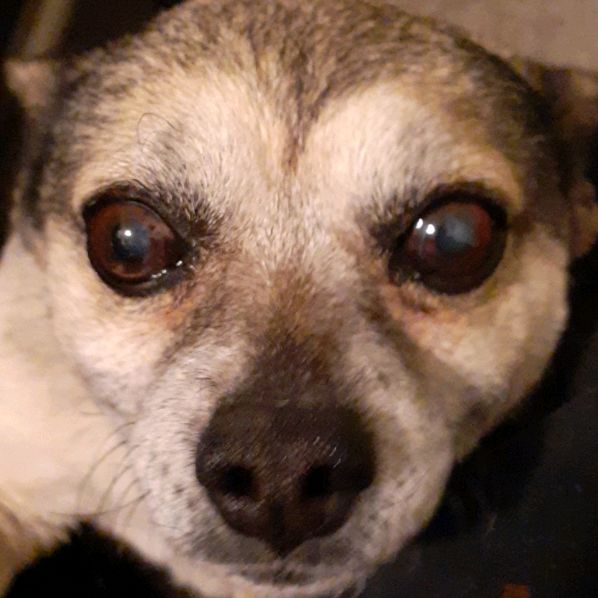 Profile Picture of Kevin (@reckless.kevin) on Tiktok