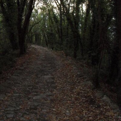 Ingela Hanberg - Twitter Profile Picture of Ingela Hanberg (@ingelabara) on Twitter