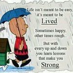 Jamie Shea Duncanson - Instagram Profile Picture of Jamie Shea Duncanson (@duncansonjamie) on Instagram