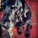 Profile Picture of Erin Kernaghan-Reid (@erinreidca) on Pinterest