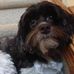 Profile Picture of Lucy Fields (@lucy.fields.54738) on Facebook
