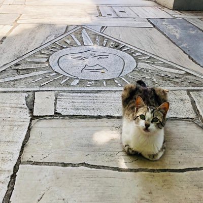 Profile Picture of Richard Zablocki (@ZablockiRichard) on Twitter