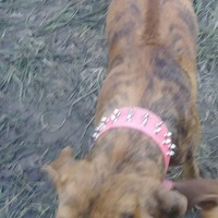 Profile Picture of Cliff Thompson  (@cliff-thompson-61) on Quora