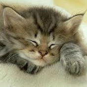 Profile Picture of Carly Bell (@carlygirl315) on Youtube