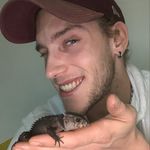 Profile Picture of David Reichenbach (@aniki_95) on Instagram